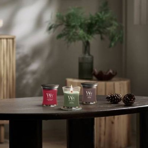 Frasier Fir Medium Candle - Zilverschoon medium candle fraser fir sfeer - 2674129E